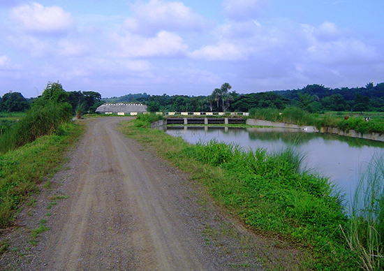 Casecnan Multipurpose Irrigation and Power Project Irrigation Component.